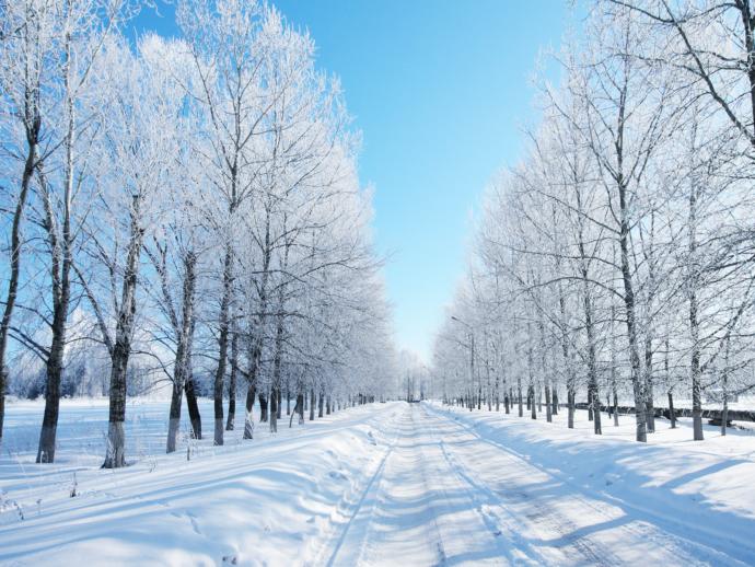 Which season do you think is the most aesthetically pleasing?
