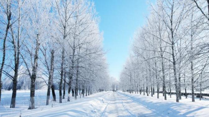 Which season do you think is the most aesthetically pleasing?