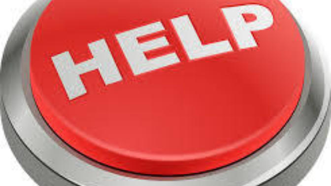 Don't Know What to Do. Please Help Soon?