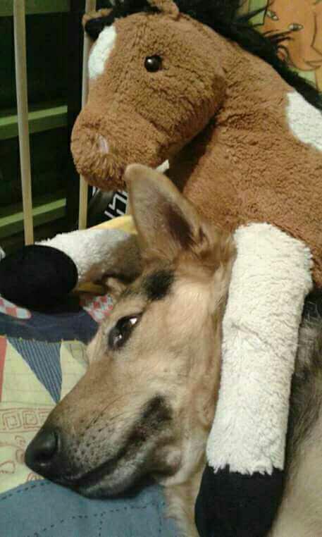 Valentine's Day Photo Contest: What was your most romantic experience?