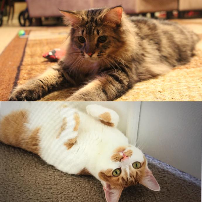 Valentine's Day Photo Contest: What was your most romantic experience?