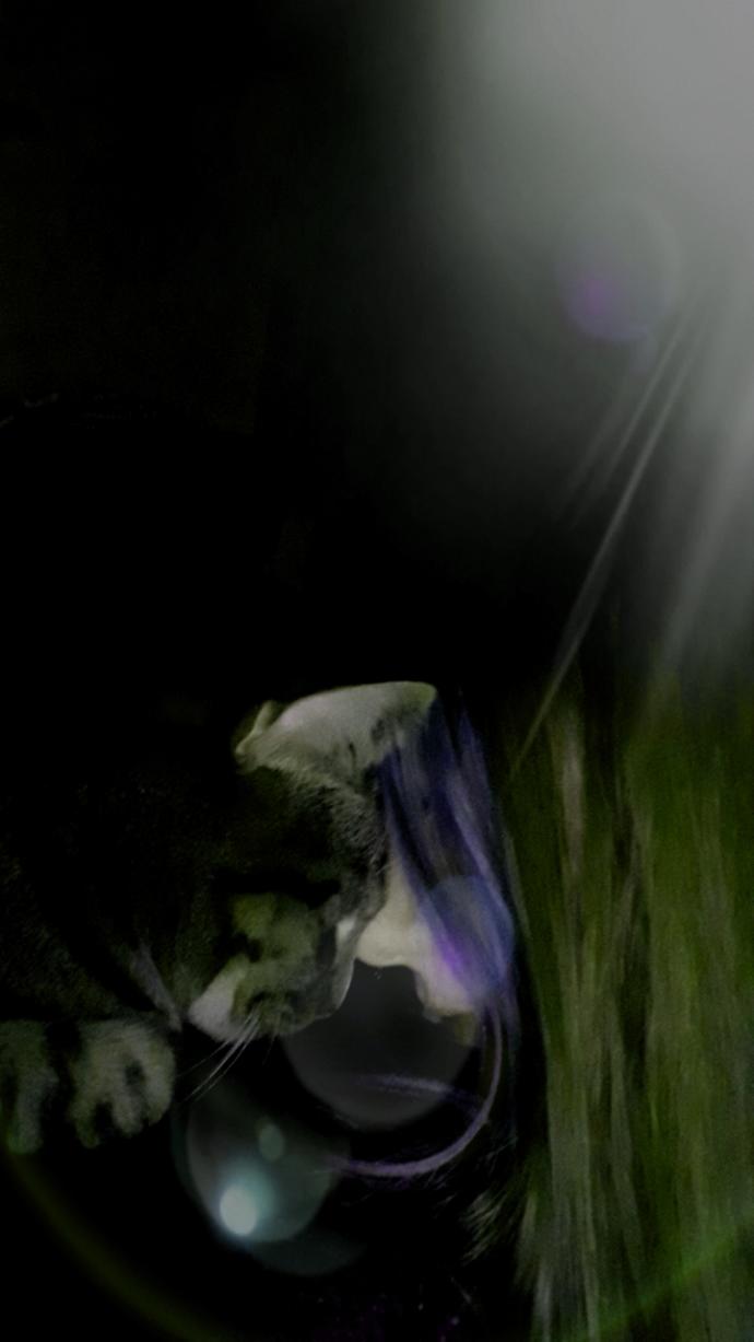 Valentine's Day Photo Contest: What was your most romantic experience?