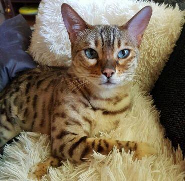 Valentine's Day Photo Contest: What was your most romantic experience?