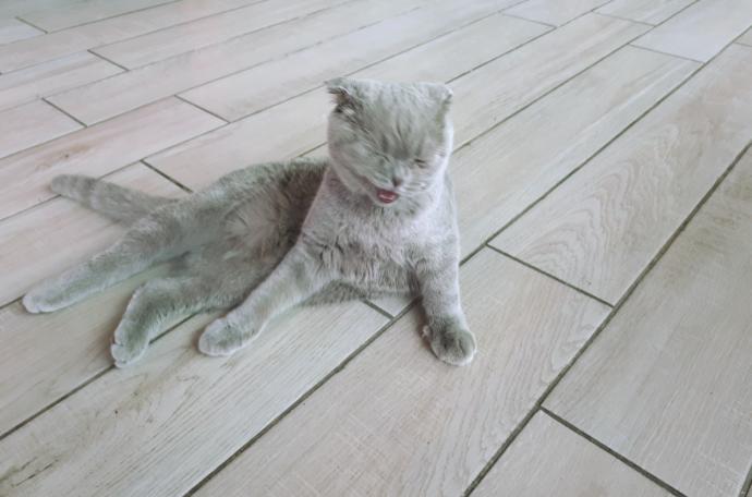 Valentine's Day Photo Contest: What was your most romantic experience?