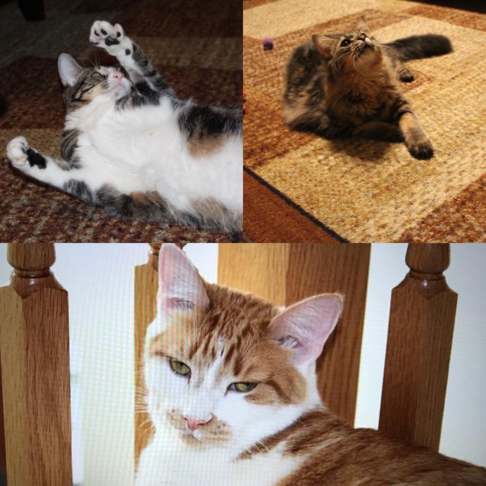 Valentine's Day Photo Contest: What was your most romantic experience?