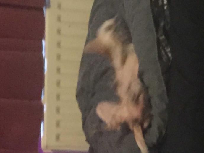 Valentine's Day Photo Contest: What was your most romantic experience?