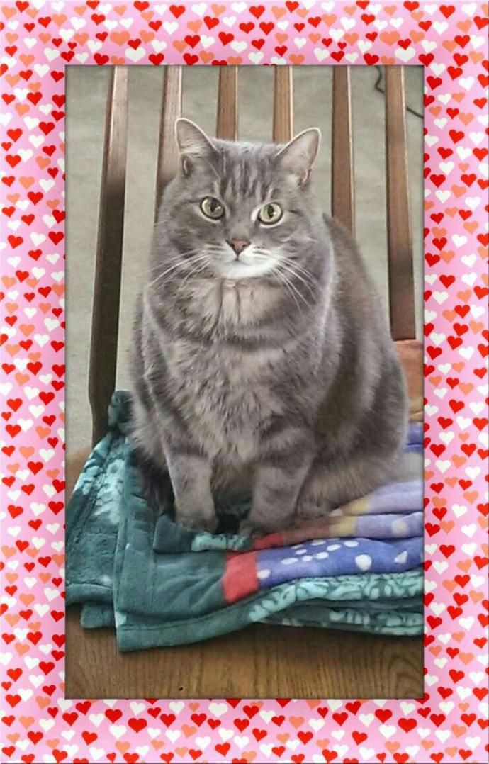 Valentine's Day Photo Contest: What was your most romantic experience?