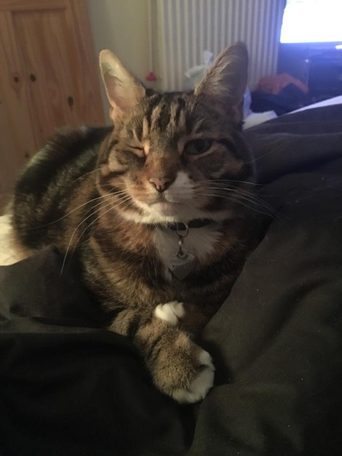 Valentine's Day Photo Contest: What was your most romantic experience?