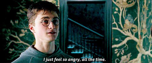 What do you think of all the fan outrage surrounding the FANTASTIC BEASTS sequel?