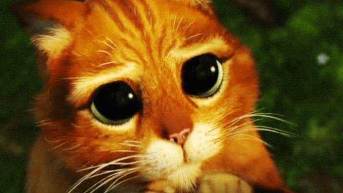Do puppy dog eyes work on you?