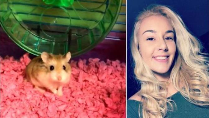 Woman told she can't take emotional support hamster on flight, flushes hamster down toilet. Thoughts?