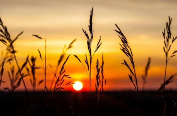 What is more beautiful - sunrise or sunset?