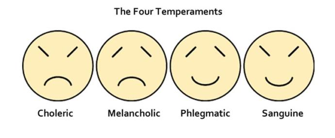 How would you describe your temperament?
