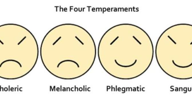 How would you describe your temperament?