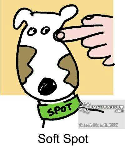 Boyfriend loves to touch my “soft”’spots?