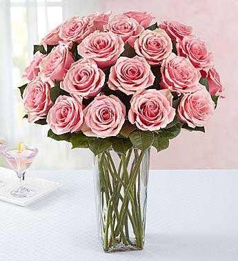 How to care of roses so they stay really fresh??
