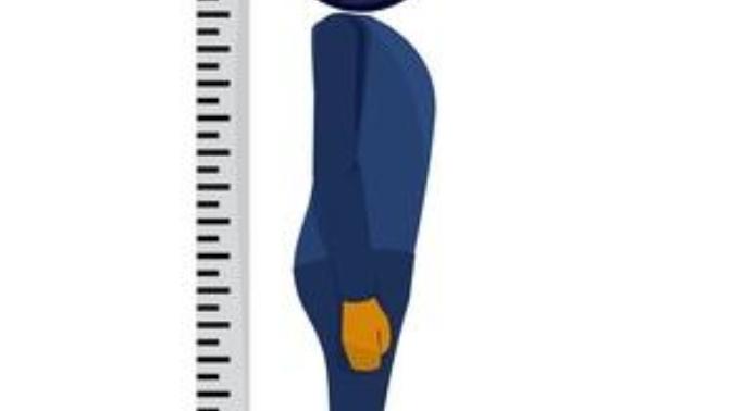 How much a man's height matters to you?
