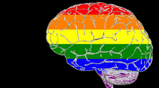 Do you think that people who're more intelligent are more likely to be homosexual?
