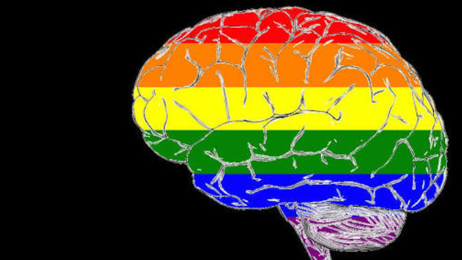 Do you think that people who're more intelligent are more likely to be homosexual?
