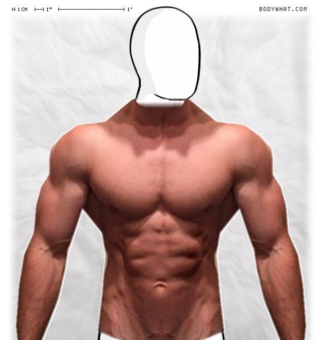 Girls, Poll : Vote the body type you most prefer in Men (For women) ?