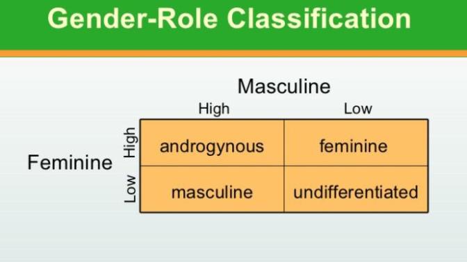 Are you feminine, masculine, androgynous, or undifferentiated?
