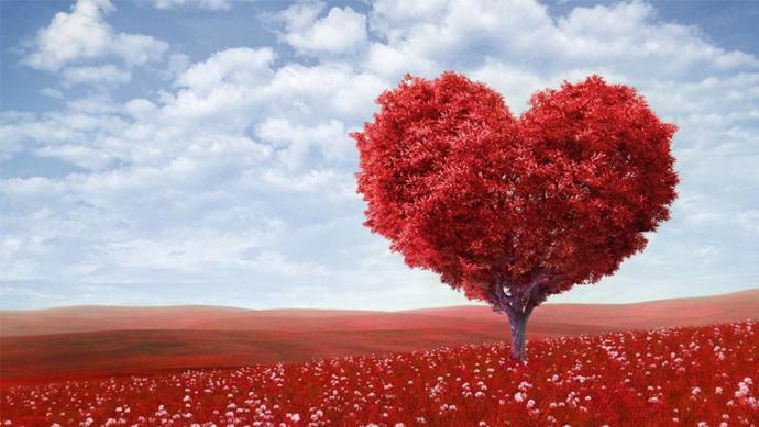 How did your Valentine's day go?