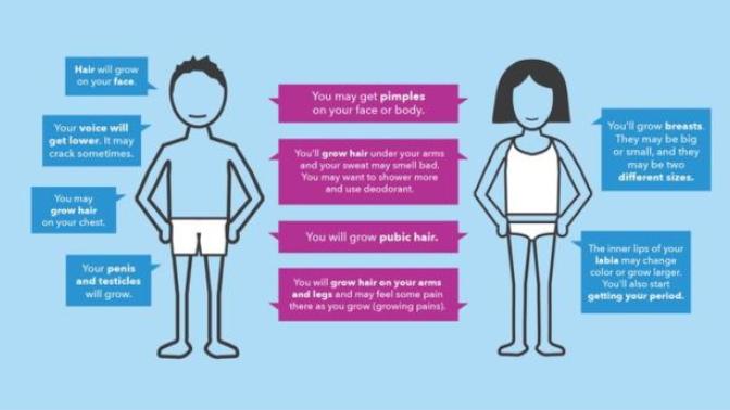 What was puberty like for you?
