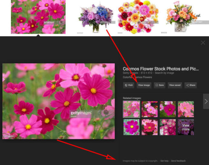Google removed the "View Image" button from Google Images Today, will this make you consider other search engines? 
