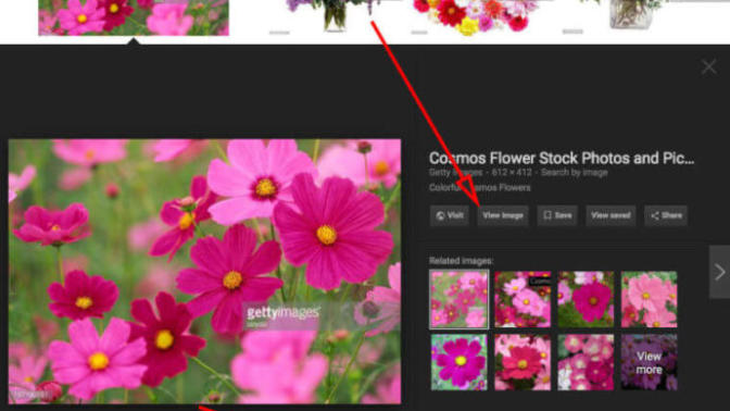 Google removed the "View Image" button from Google Images Today, will this make you consider other search engines?