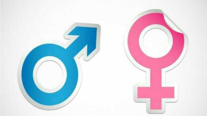 Gender Switch For A Day?