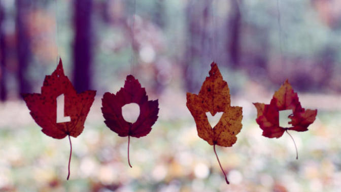 In your own defenition: what is love?