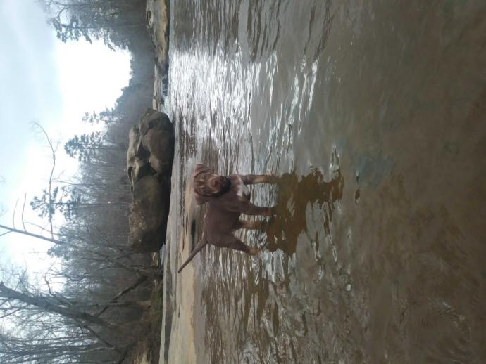 Think she will become a good fishing water dog??