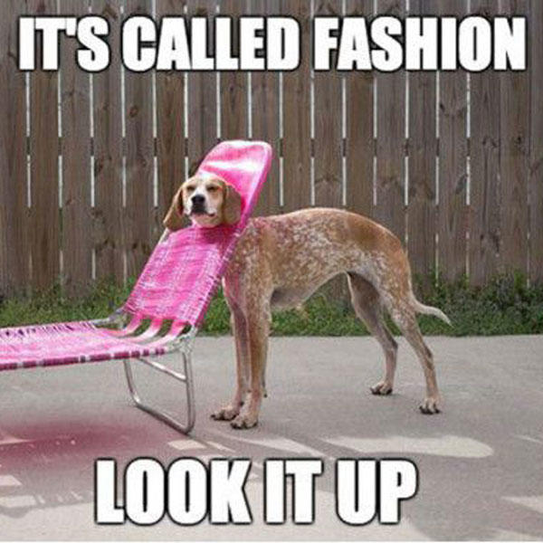 Do you keep up to date with the latest fashion trends?