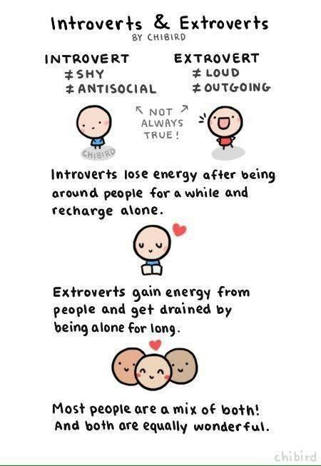 Why do people confuse being shy/social anxiety with being introverted?