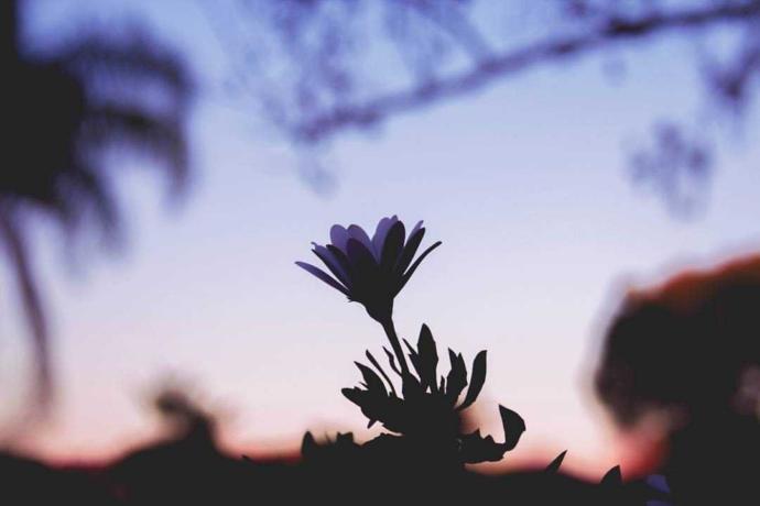Are my photos good enough to print and sell??????