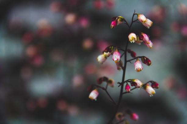 Are my photos good enough to print and sell??????
