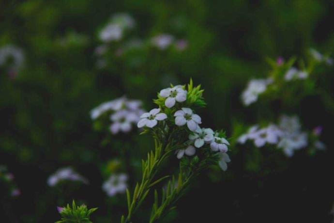 Are my photos good enough to print and sell??????
