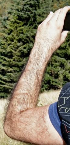 I am very confused about arms and legs. Can you guide?