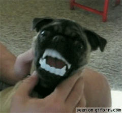 First World Problem: What do you think of people choosing to wear fangs?