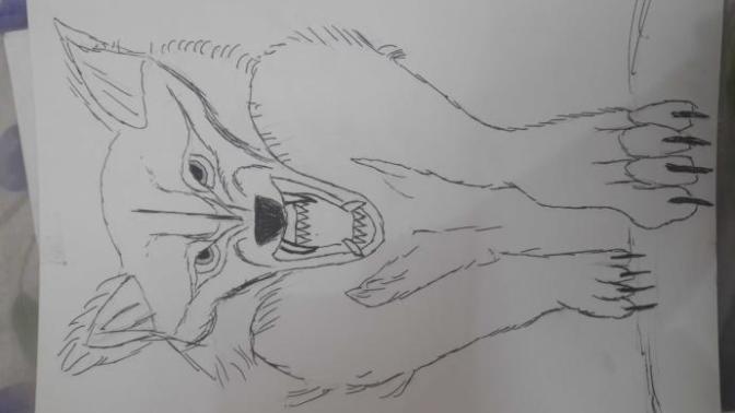 Do girls like guys who like to draw. ?
