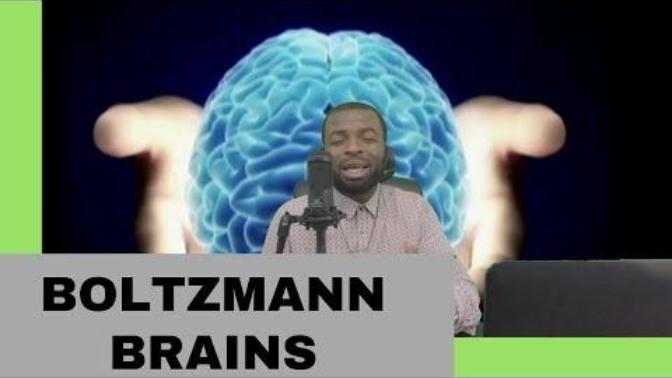 Let's talk about science. What do you think of the Boltzmann Brain paradox?