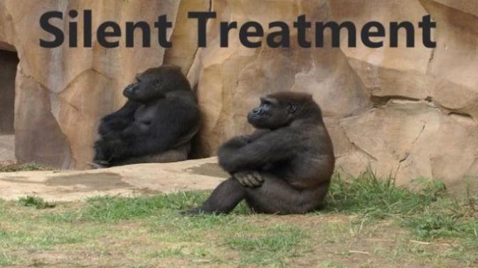 Thoughts on giving someone the silent treatment?