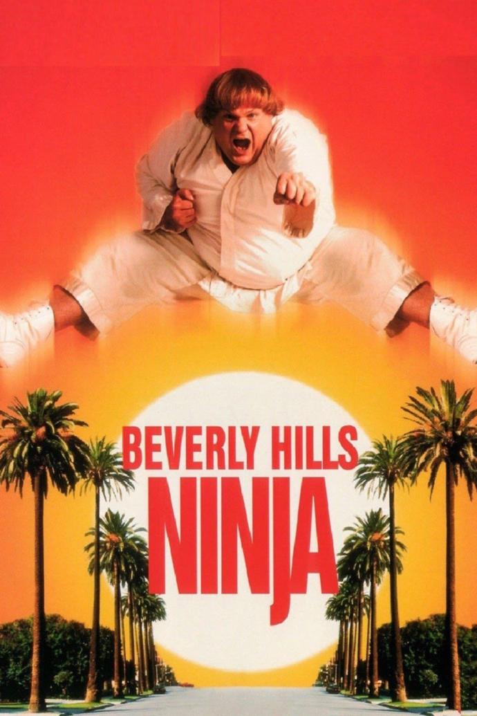 Rate this Chris Farley movie #3?