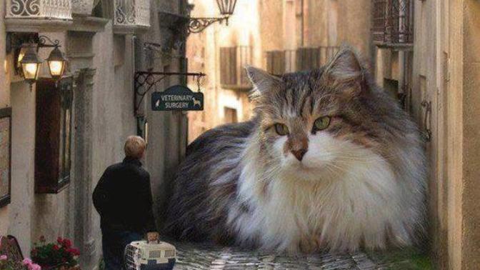 Would you rather have one gigantic cat that you can ride like a horse or have lots of regular-sized cats?