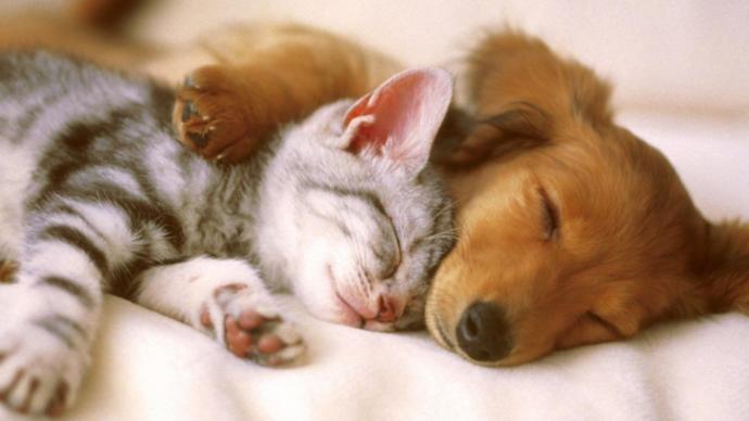 What's best position to sleep and cuddle with someone?