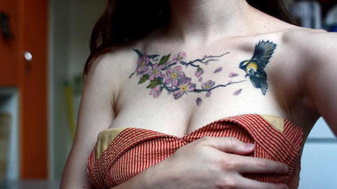 Why do people find collarbones attractive?