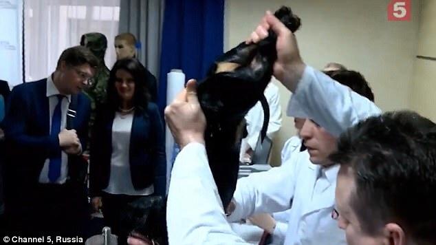 Do you think animal experiments are essential for human advancement?