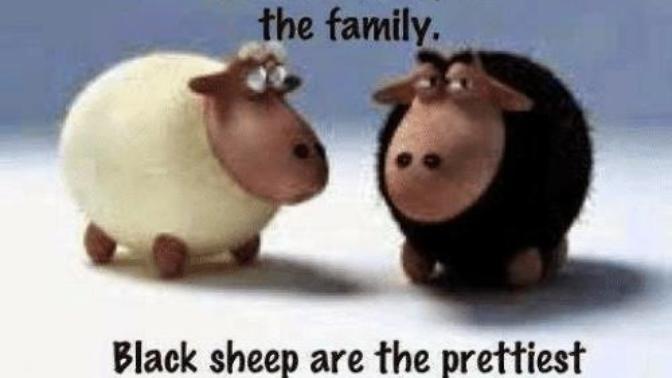 Are you the black sheep of your family?