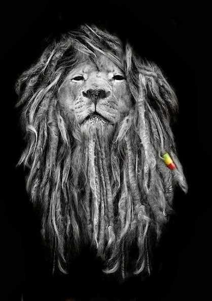 RASTAFARI LION MAN?