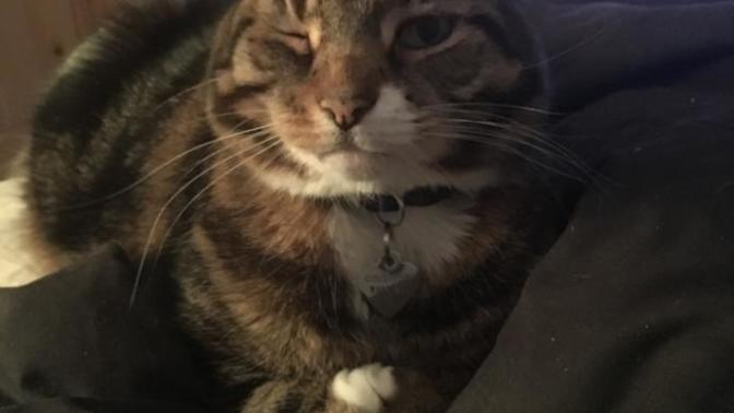 Do you sleep with your pet?